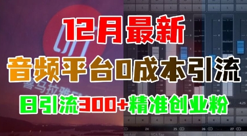12月最新：音频平台0成本引流，日引流300+精准创业粉-21资源库
