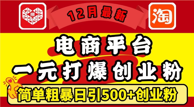 12月最新：电商平台1元打爆创业粉，简单粗暴日引500+精准创业粉，轻松月入过W【揭秘】-21资源库