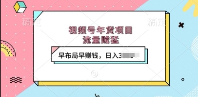 视频号年货项目，流量贼猛，早布局早挣钱，日入上k【揭秘】-21资源库