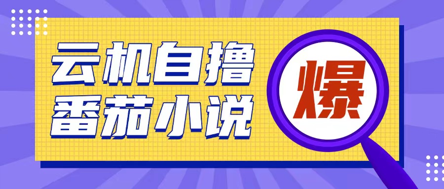 首发云手机自撸小说玩法，10块钱成本可撸200+收益操作简单【揭秘】-21资源库