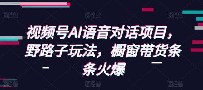 视频号AI语音对话项目，野路子玩法，橱窗带货条条火爆-21资源库