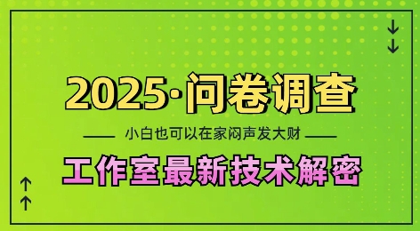 2025问卷调查最新工作室技术解密：一个人在家也可以闷声发大财，小白一天2张，可矩阵放大【揭秘】-21资源库