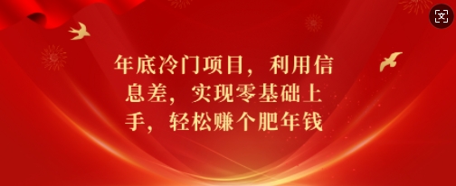 年底冷门项目，利用信息差，实现零基础上手，轻松赚个肥年钱【揭秘】-21资源库