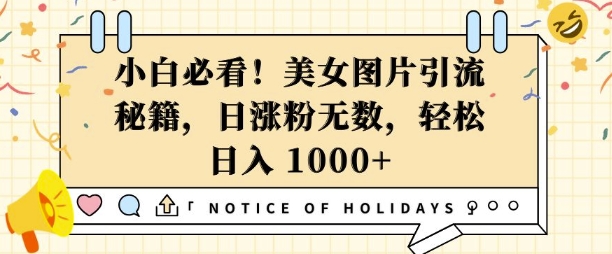 小白必看，美女图片引流秘籍，日涨粉无数，轻松日入几张【揭秘】-21资源库