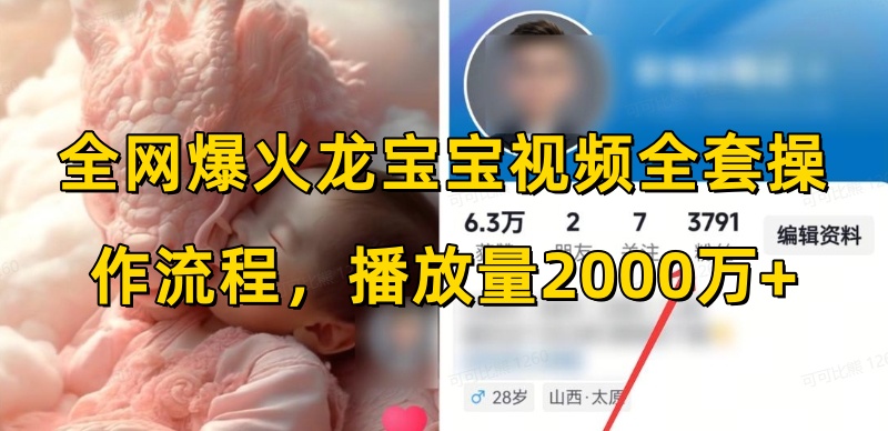 全网爆火龙宝宝视频全套操作流程，播放量2000万+-21资源库