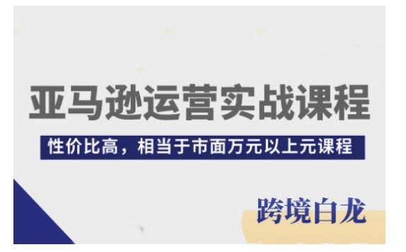 亚马逊运营实战课程，亚马逊从入门到精通，性价比高，相当于市面万元以上元课程-21资源库