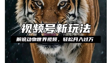 利用动物世界解说视频，赚分成计划收益，轻松月入过W，操作简单【揭秘】-21资源库