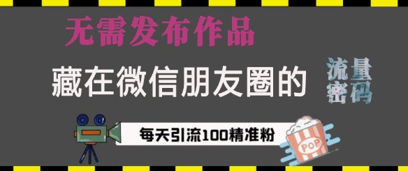藏在微信朋友圈的流量密码，无需发布作品，单日引流100+精准创业粉【揭秘】-21资源库