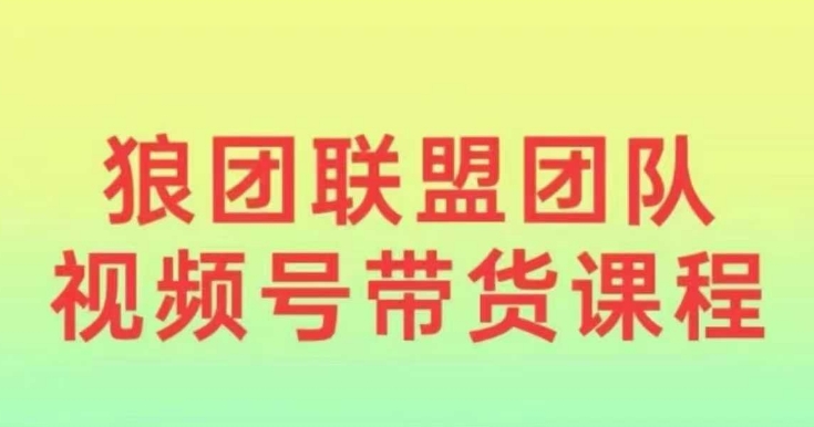 狼团联盟2024视频号带货，0基础小白快速入局视频号-21资源库