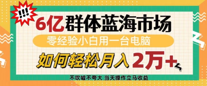 6亿群体蓝海市场，零经验小白用一台电脑，如何轻松月入过w【揭秘】-21资源库