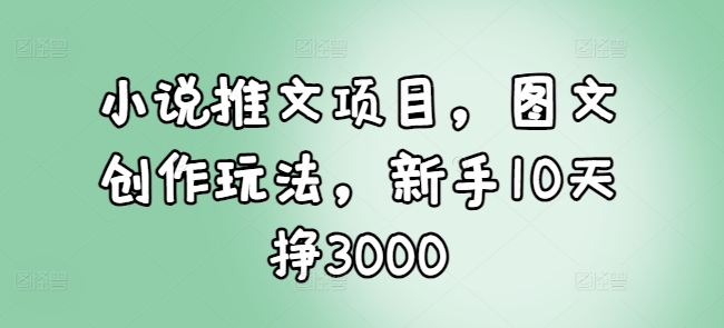 小说推文项目，图文创作玩法，新手10天挣3000-21资源库