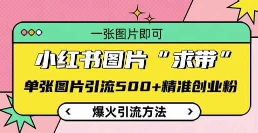 小红书图片‘求带’爆火引流法，单张图片引流500+精准创业粉【揭秘】-21资源库