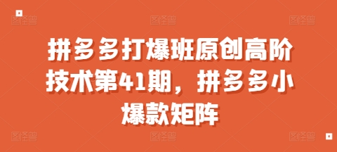 拼多多打爆班原创高阶技术第41期，拼多多小爆款矩阵-21资源库