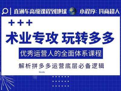 术业专攻玩转多多，优秀运营人的全面体系课程，解析拼多多运营底层必备逻辑-21资源库