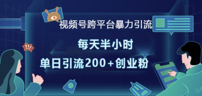 视频号跨平台暴力引流，每天半小时，单日引流200+精准创业粉-21资源库