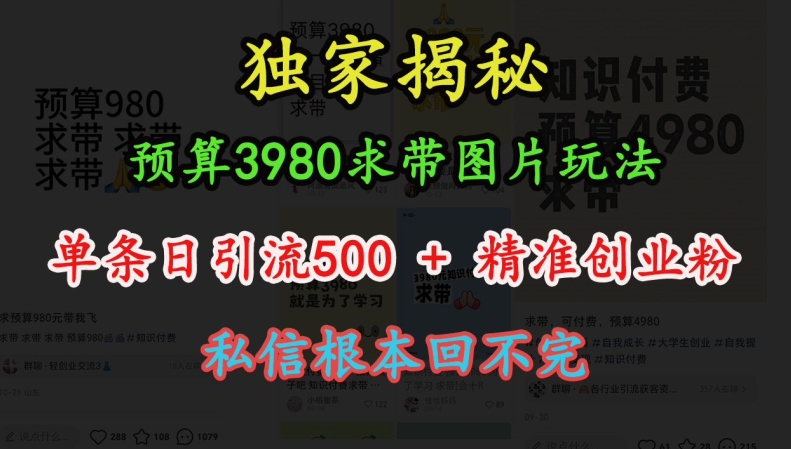 预算3980求带 图片玩法，单条日引流500+精准创业粉，私信根本回不完-21资源库
