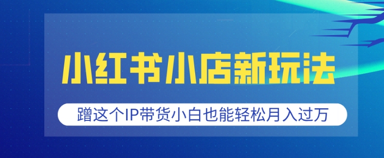 小红书小店新玩法，蹭这个IP带货，小白也能轻松月入过W【揭秘】-21资源库