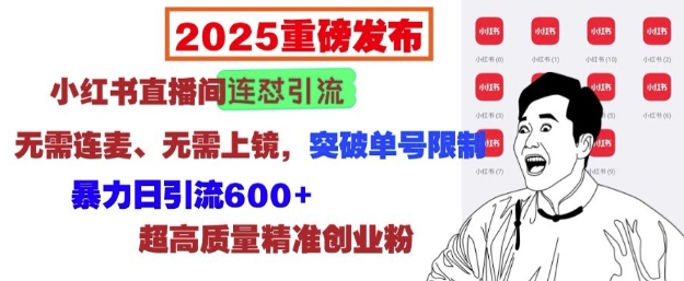 2025重磅发布：小红书直播间连怼引流，无需连麦、无需上镜，突破单号限制，暴力日引流600+-21资源库