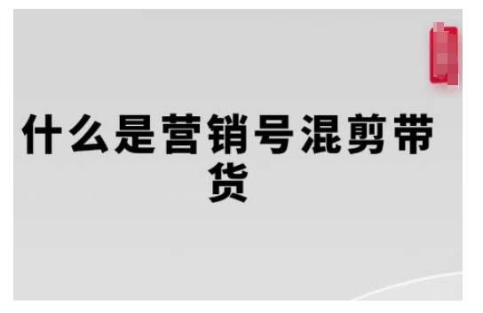 营销号混剪带货，从内容创作到流量变现的全流程，教你用营销号形式做混剪带货-21资源库