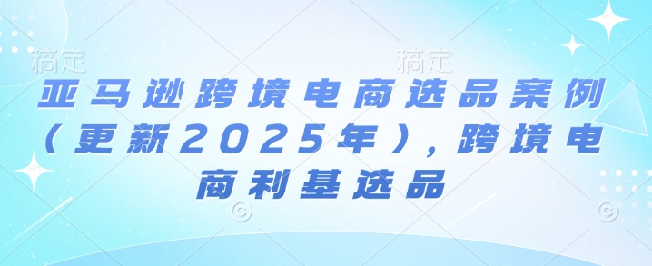 亚马逊跨境电商选品案例(更新2025年)，跨境电商利基选品-21资源库