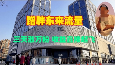 蹭胖东来流量，三天涨万粉，收益直接起飞-21资源库