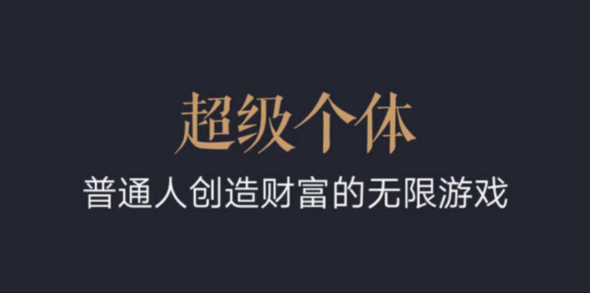 超级个体：2024-2025翻盘指南，普通人创造财富的无限游戏-21资源库
