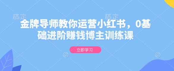 金牌导师教你运营小红书，0基础进阶赚钱博主训练课-21资源库