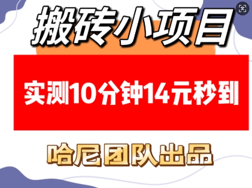 搬砖小项目，实测10分钟14元秒到，每天稳定几张(赠送必看稳定)-21资源库