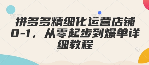 拼多多精细化运营店铺0-1，从零起步到爆单详细教程-21资源库