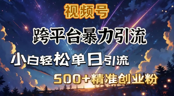 跨平台暴力引流，私域完美闭环，日引500+精准创业粉-21资源库