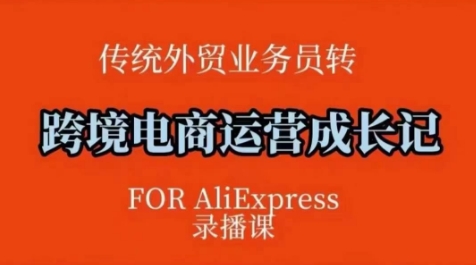 跨境电商速卖通运营课，​运营方法论+后台实操，逻辑清晰-21资源库