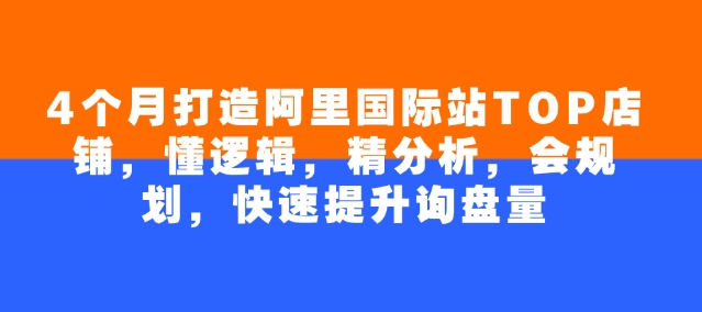 4个月打造阿里国际站TOP店铺，懂逻辑，精分析，会规划，快速提升询盘量-21资源库