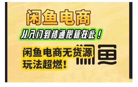 闲鱼电商实战课，从入门到精通秘籍在此，闲鱼电商无货源玩法超燃!-21资源库