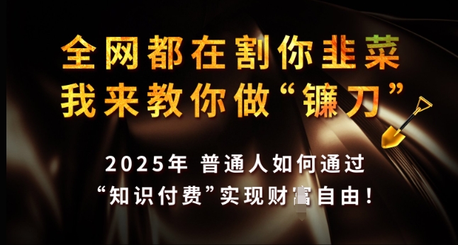 全网都在割你韭菜，我来教你做镰刀，2025年普通人如何通过 知识付费 实现财F自由【揭秘】-21资源库