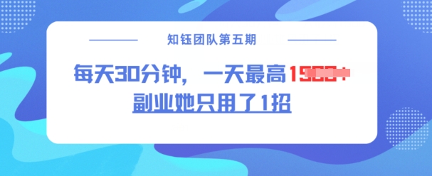 副业她只用了1招，每天30分钟，无脑二创，一天最高1.5k-21资源库