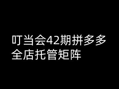 叮当会拼多多打爆班原创高阶技术第42期，拼多多全店托管矩阵-21资源库