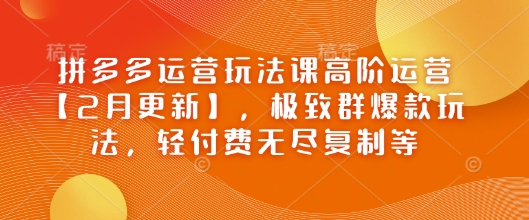 拼多多运营玩法课高阶运营【2月更新】，极致群爆款玩法，轻付费无尽复制等-21资源库