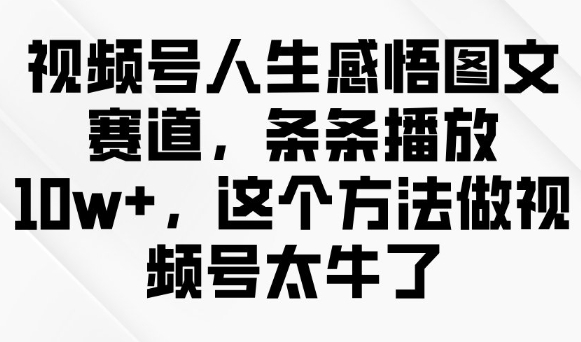视频号人生感悟图文赛道，条条播放10w+，这个方法做视频号太牛了-21资源库