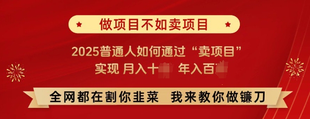 必看，做项目不如卖项目，2025普通人如何通过“卖项目”实现月入十个，年入百个-21资源库