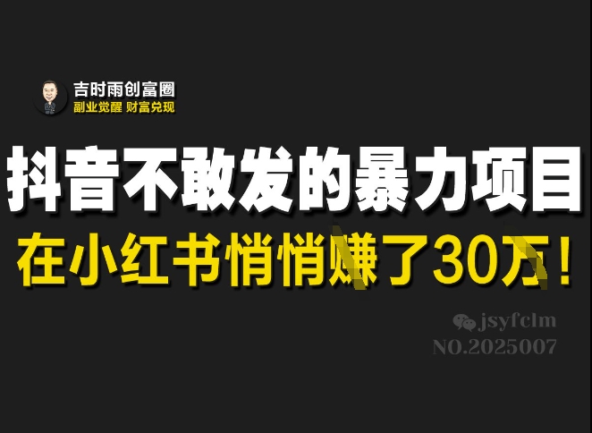 抖音不敢发的暴利项目，在小红书悄悄挣了30W-21资源库