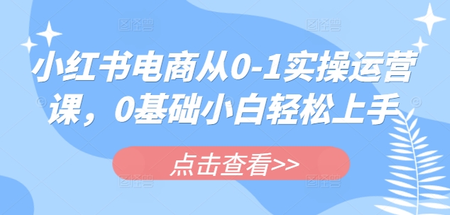 小红书电商从0-1实操运营课，0基础小白轻松上手-21资源库
