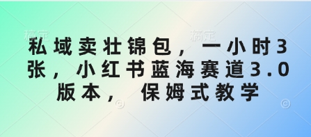 私域卖壮锦包，一小时3张，小红书蓝海赛道3.0版本， 保姆式教学-21资源库