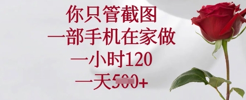 你只管截图，一部手机在家做，一小时120.一天5张【揭秘】-21资源库