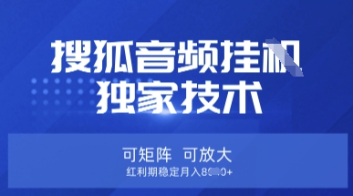 【搜狐音频挂G】独家技术，可矩阵可放大，红利期稳定月入8k【揭秘】-21资源库