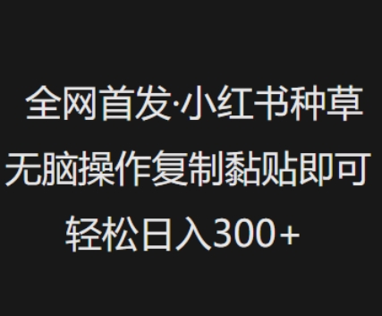 全网首发，小红书种草无脑操作，复制黏贴即可，轻松日入3张-21资源库