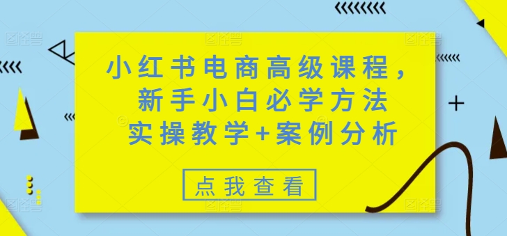 小红书电商高级课程，新手小白必学方法，实操教学+案例分析-21资源库