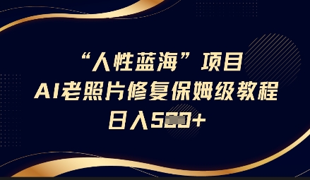 人性蓝海AI老照片修复项目保姆级教程，长期复购，轻松日入5张-21资源库