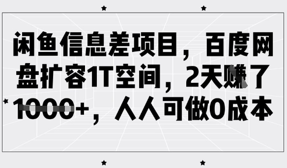 闲鱼信息差项目，百度网盘扩容1T空间，2天收益1k+，人人可做0成本-21资源库