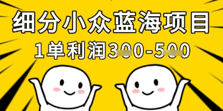 细分小众蓝海项目，一单利润3张，每月收入稳定过1w+-21资源库