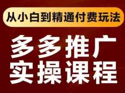 拼多多推广实操课程，从小白到精通付费玩法-21资源库